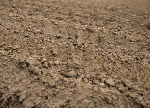 Empty plowed field at the beginning of spring season Stock Photos