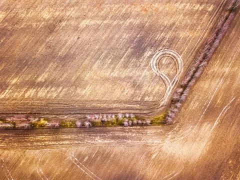 Empty plowed field in early spring, top aerial view. Stock Photos