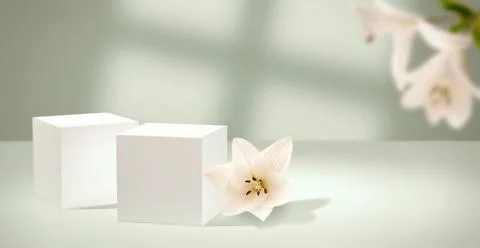 Empty podium in female style with 2 cubes and flowers as a 3D-Illustration Stock Illustration