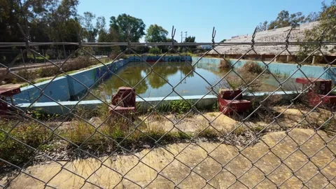 Empty Pool Filled with Rainwater and Overgrown with Moss and Lilies Stock Footage 304697339