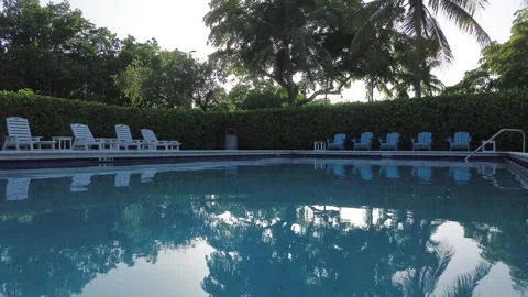 Empty Pool with Lounge Chairs and Palm Trees, Miami Stock Footage 340531720