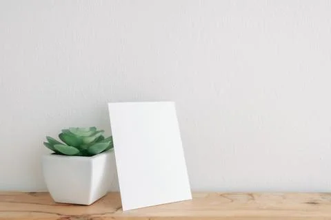 Empty postcard mockup with cactus pot on white wall. Stock-Fotos