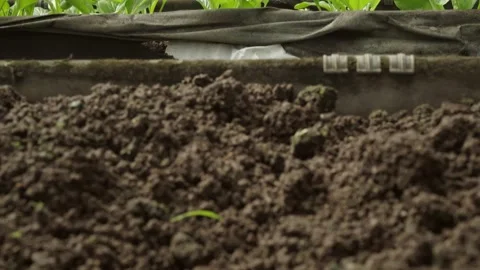 An empty prepared soil bed inside an organic farm Stock Footage 342225017
