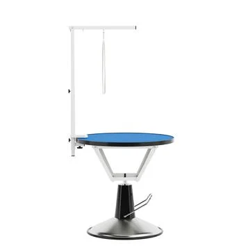 Empty Professional Pet Grooming Table with a Blue Non-Slip Surface. 3d Rend.. Illustrazione stock