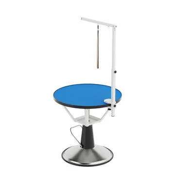 Empty Professional Pet Grooming Table with a Blue Non-Slip Surface. 3d Rend.. Stock-Illustration