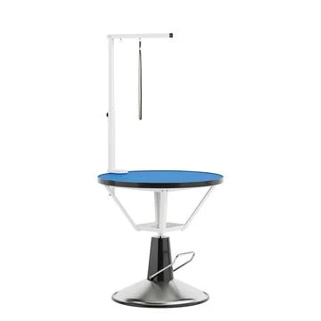 Empty Professional Pet Grooming Table with a Blue Non-Slip Surface. 3d Rend.. Illustrazione stock