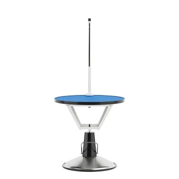 Empty Professional Pet Grooming Table with a Blue Non-Slip Surface. 3d Rend.. Illustrazione stock