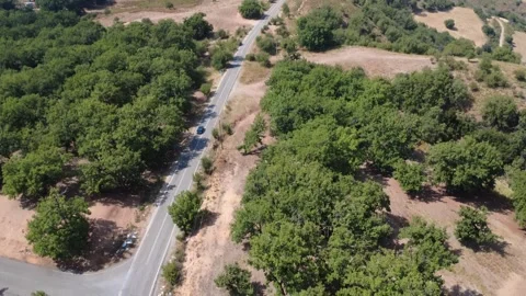 Empty Provincial Road Crossing Oak Woodland And Fields Under Midday Sun 動画素材 326164818