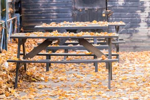 Empty pub table in autumn without guests covered by leaves. Empty table and Stock Photos