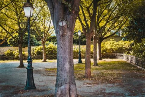 Empty public park at the end of the summer day Stock Photos