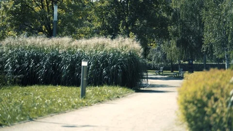 Empty public park perspective Video stock 94305808