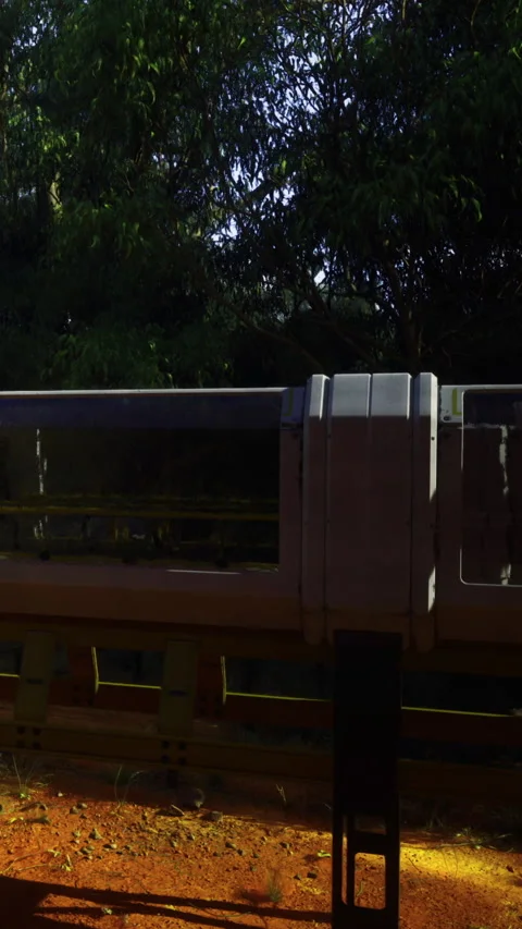 Empty public transport vehicle stands still near greenery during daylight Stock Footage 334167239