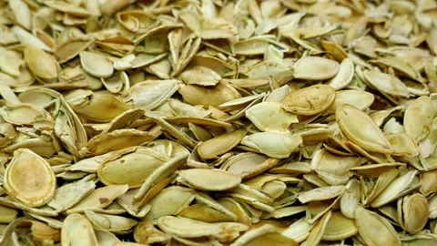 Empty pumpkin seed shells close-up Video stock 273707435
