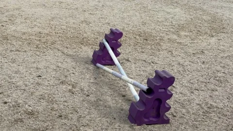 Empty purple horse jumping cavaletti detail Stock Footage 331584452