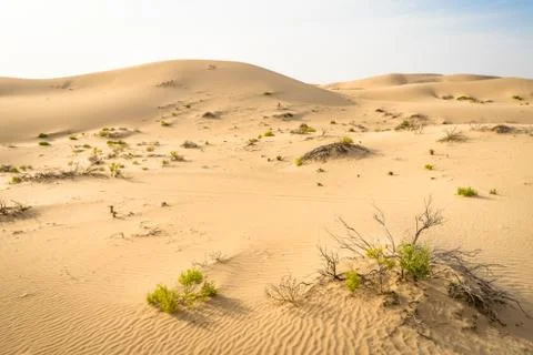 The empty quarter in abu dhabi, uae Stock Photos