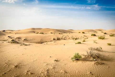 The empty quarter in abu dhabi, uae Stock Photos