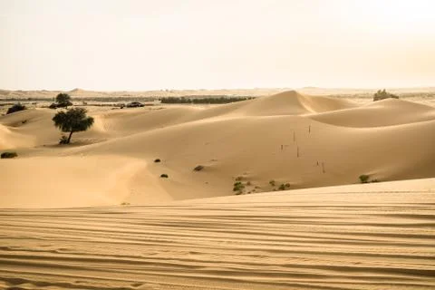 The empty quarter in abu dhabi, uae Stock Photos