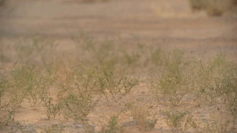 Empty Quarter Stock Footage 112778924