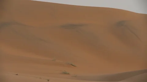 Empty Quarter Stock Footage 112779523