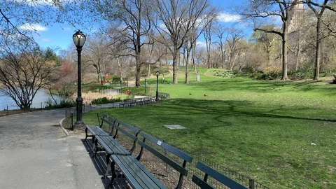 An Empty Quiet Day in Central Park New York City during the Coronavirus Pandemic Stock Footage 127856444