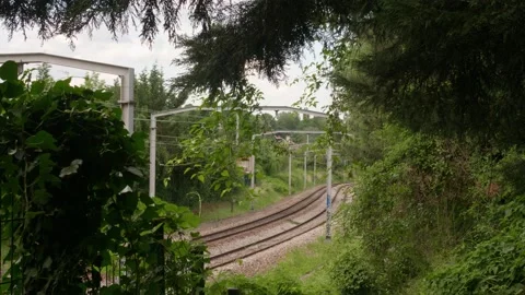 Empty railroad tracks Stock Footage 156528305