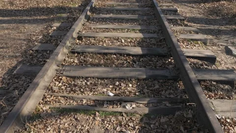 Empty Railroad Train Track, Old Rails And Ties Stock Footage 166402465