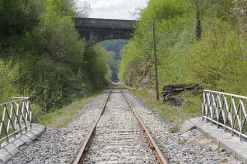 Empty Railway Track Foto stock