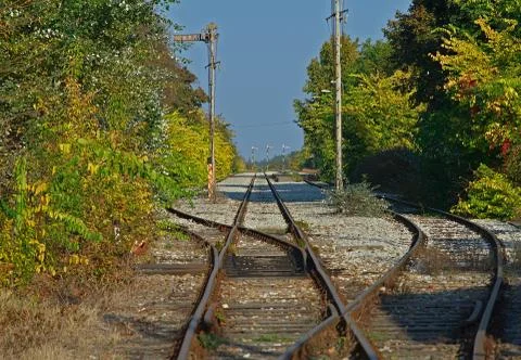 Empty railway tracks with greenery on both sides Stock Photos