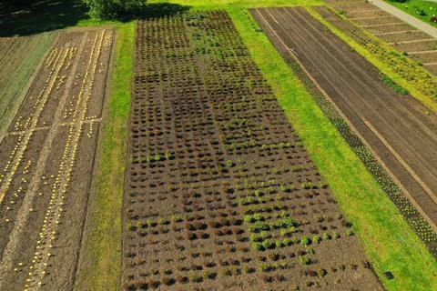 Empty raised garden beds in the spring perid 스톡 사진
