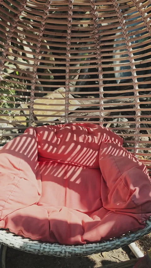Empty rattan hanging egg chair with a soft red cushion gently swinging Stock Footage 341138083