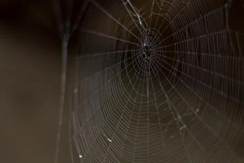 Empty Real Web on the Dark Background. Fear Foto stock
