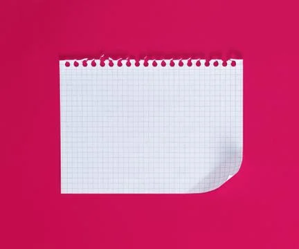 Empty rectangular sheet torn out of notepad 스톡 사진