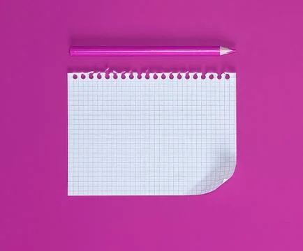 Empty rectangular white sheet torn out of notepad 스톡 사진