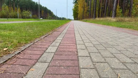 Empty red and gray brick walkway stretching beside a road and pine forest  스톡 동영상 348003947