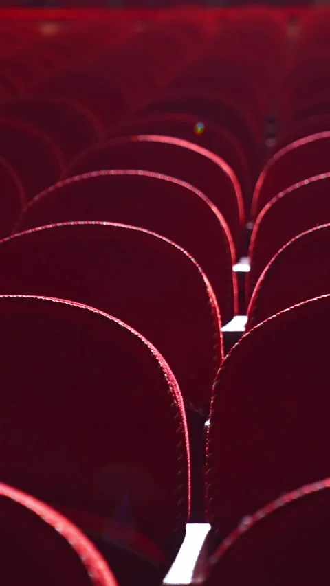 Empty red armchairs in theater. Video stock 279915854