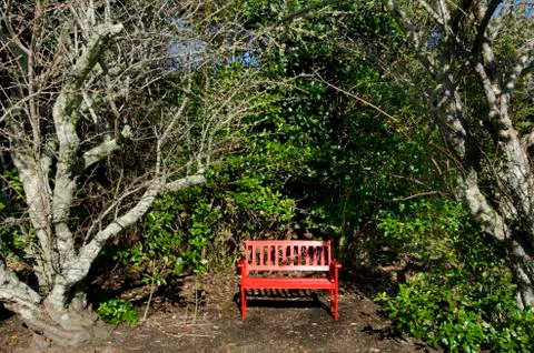 Empty red bench Stock Photos