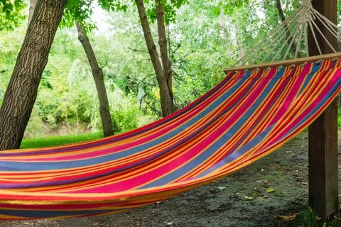An empty red hammock is in the summer forest Stock Photos