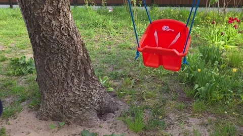 Empty red plastic baby swing swinging on blue ropes hanging from a large tr.. Vídeos de archivo 334449217