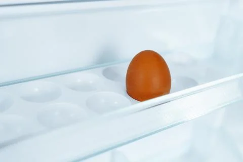 Empty refrigerator with one egg in tray Stock Photos