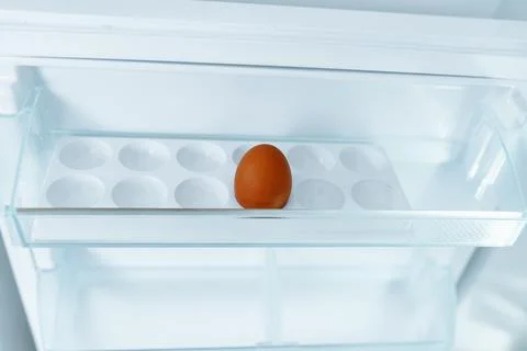 Empty refrigerator with one egg in tray Stock Photos