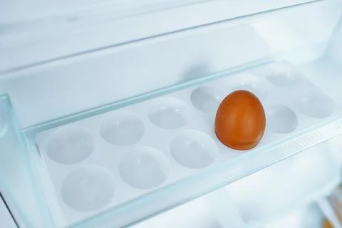 Empty refrigerator with one egg in tray Stock Photos