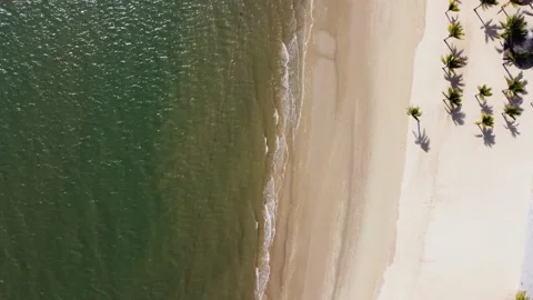 An empty resort beach with palms Stock Footage 157038834