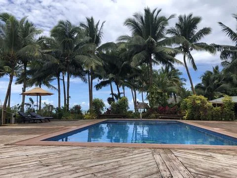 Empty Resort Pool Framed by Towering Coconut Palms Foto stock