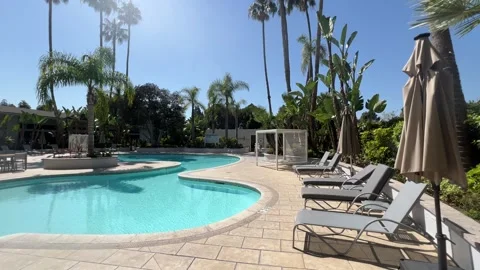 Empty resort swimming pool with palm trees and lounge chairs at midday Stock Footage 345369800
