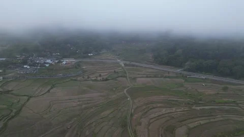 Empty rice fields due to drought in Yogyakarta, Java, Indonesia. 4k Stock Footage 247348627