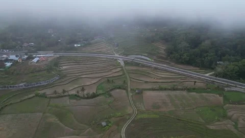 Empty rice fields due to drought in Yogyakarta, Java, Indonesia. 4k Stock Footage 247348640