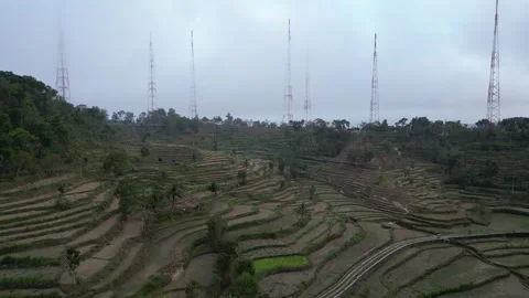 Empty rice fields due to drought in Yogyakarta, Java, Indonesia. 4k Vídeos de archivo 247348646