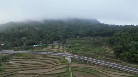 Empty rice fields due to drought in Yogyakarta, Java, Indonesia. 4k Stock Footage 247348647