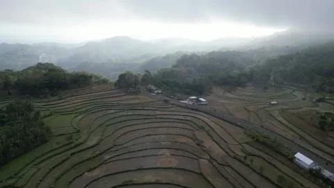 Empty rice fields due to drought in Yogyakarta, Java, Indonesia. 4k Stock Footage 247348937