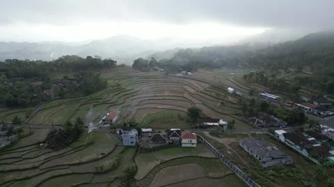Empty rice fields due to drought in Yogyakarta, Java, Indonesia. 4k Stock Footage 247348938